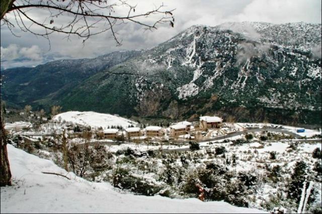 Koustenis Village ديميتسانا المظهر الخارجي الصورة