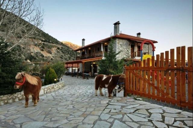 Koustenis Village ديميتسانا المظهر الخارجي الصورة